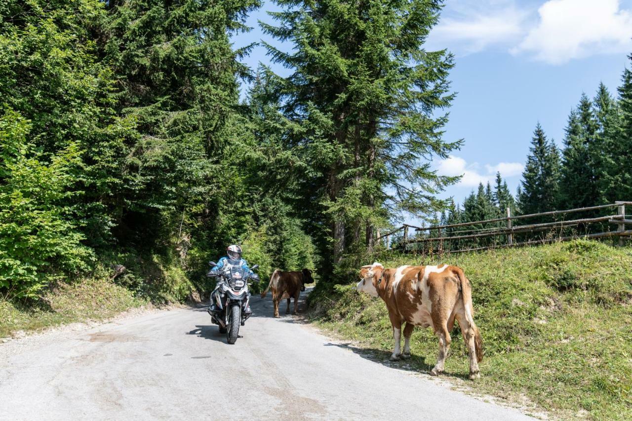 Ferienwohnungen Panorama Harrys Bike Tours Villach Eksteriør bilde